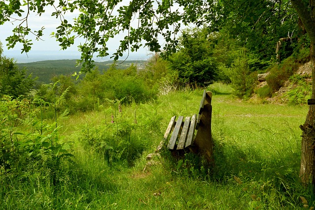 表现出了极 表现出了极